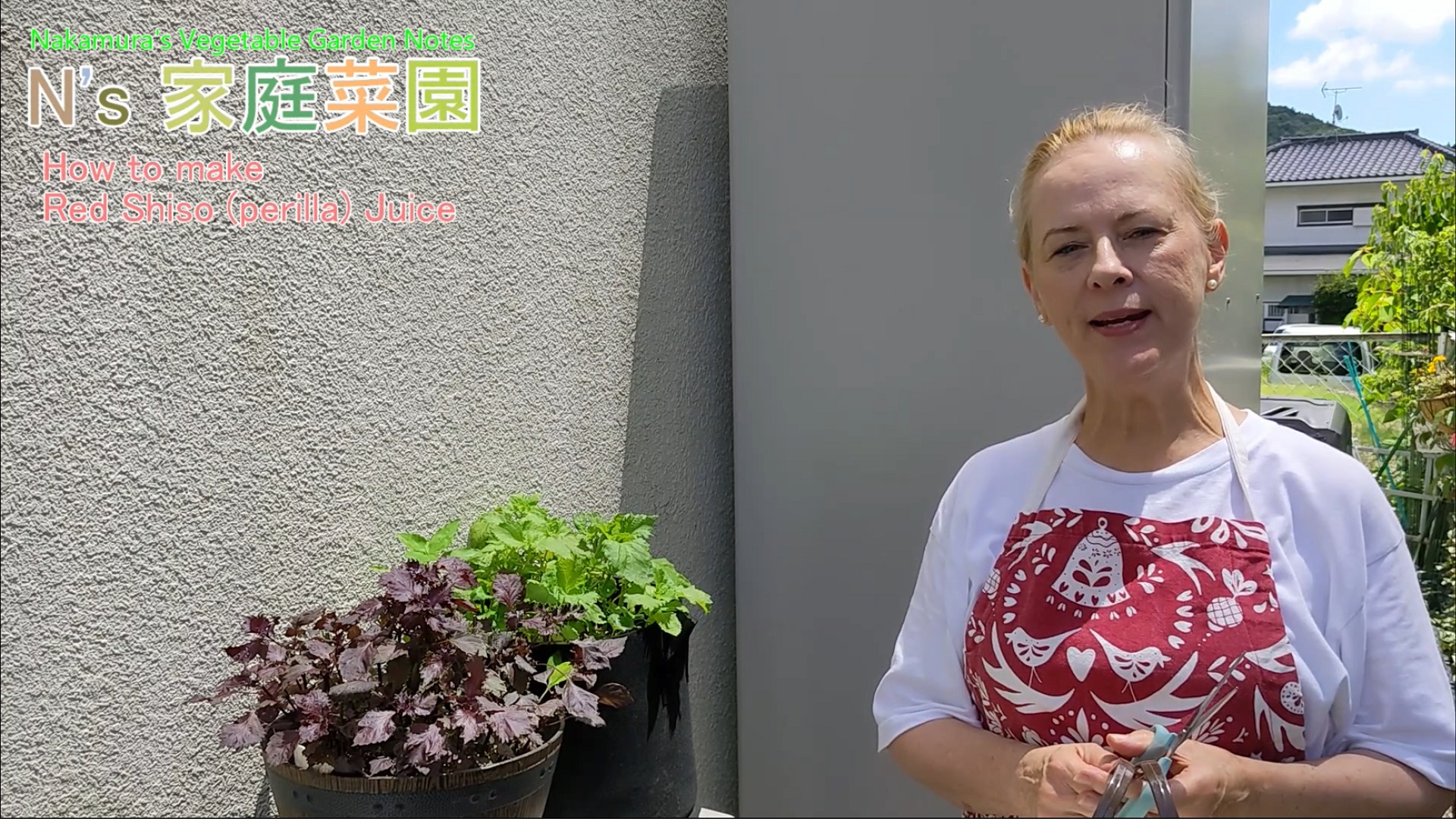 You are currently viewing 004 How to make Red Shiso perilla Juice (日本語字幕あり）