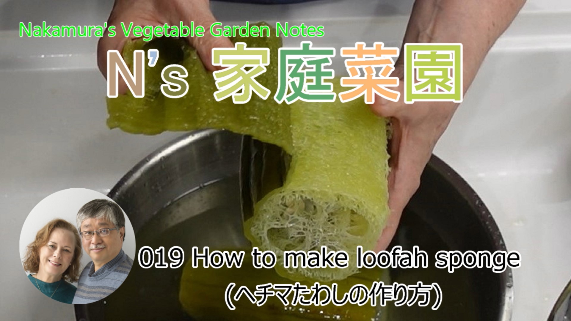 Read more about the article 019 How to make loofah sponge 【ヘチマたわしの作り方 日英字幕付】