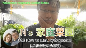 Read more about the article 020 How to start hydroponics 水耕栽培の始め方 – 字幕あり