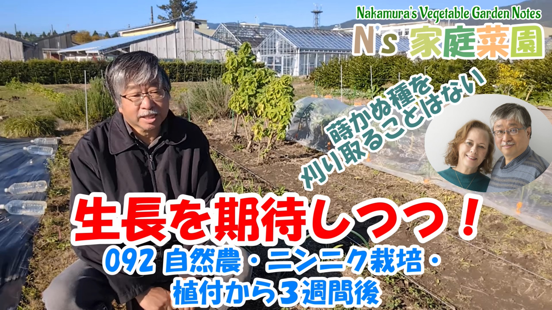 Read more about the article 092 自然農・ニンニク栽培・植付から3週間後