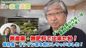 Read more about the article 保存食・チンゲン菜を粉にしちゃいました！