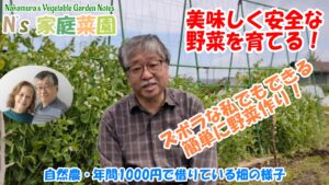 Read more about the article 自然農・年間1000円で借りている畑の様子