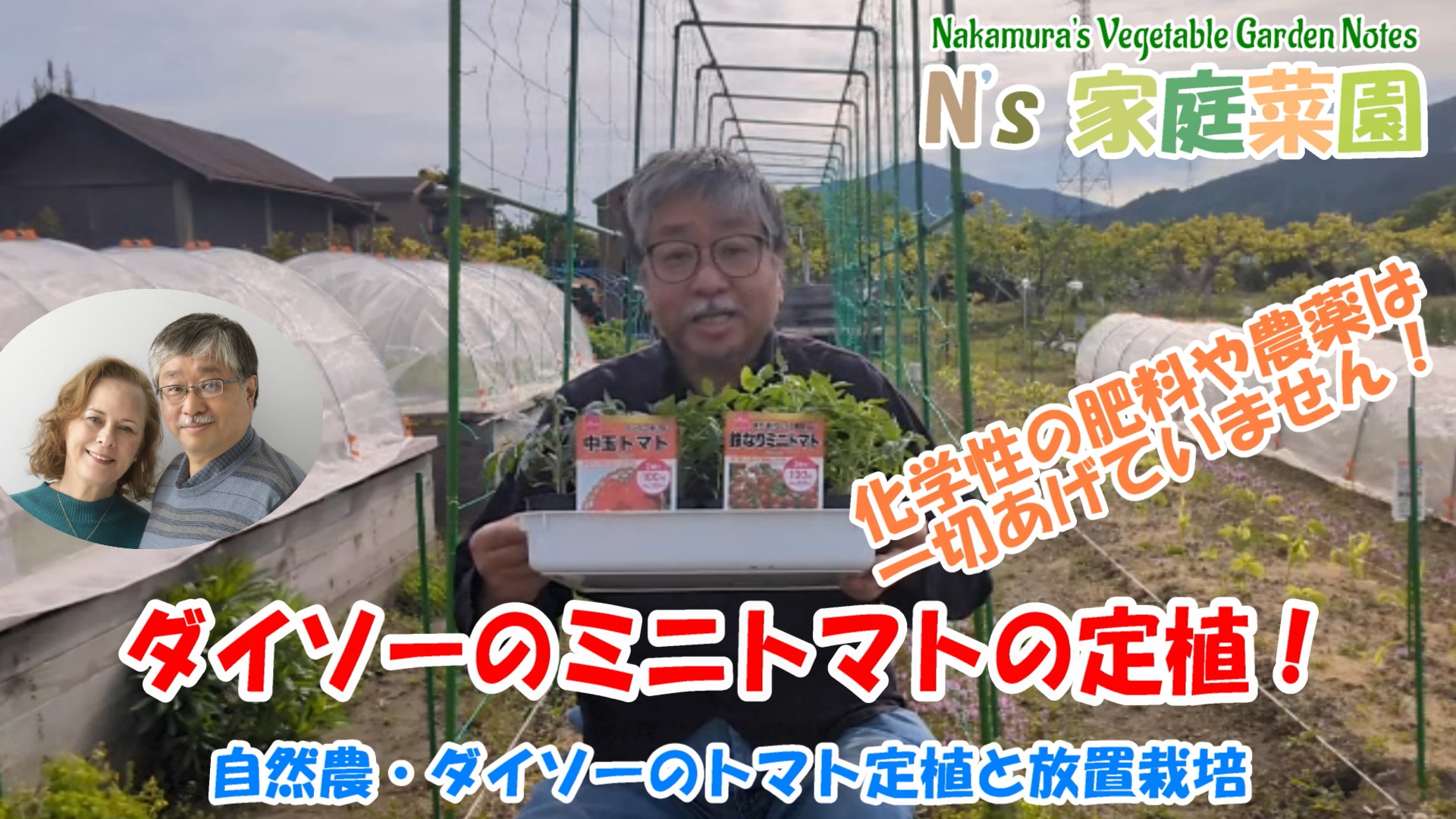 Read more about the article 自然農・ダイソーのトマト定植と放置栽培