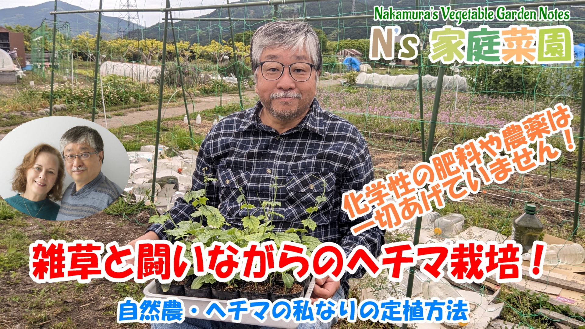 Read more about the article 自然農・ヘチマの私なりの定植方法