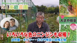 Read more about the article 自然農・ダイソー・大さや枝豆の収穫＆他