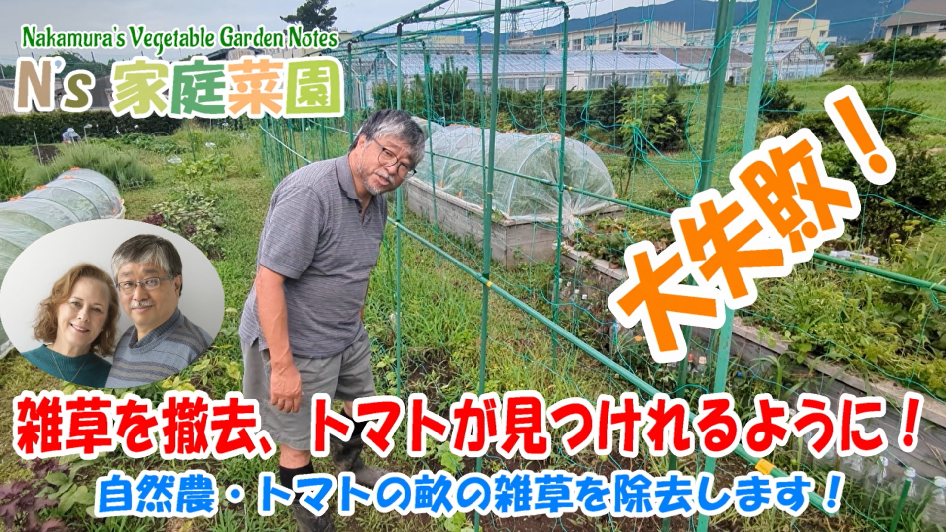 Read more about the article 自然農・トマトの畝の雑草を除去します！