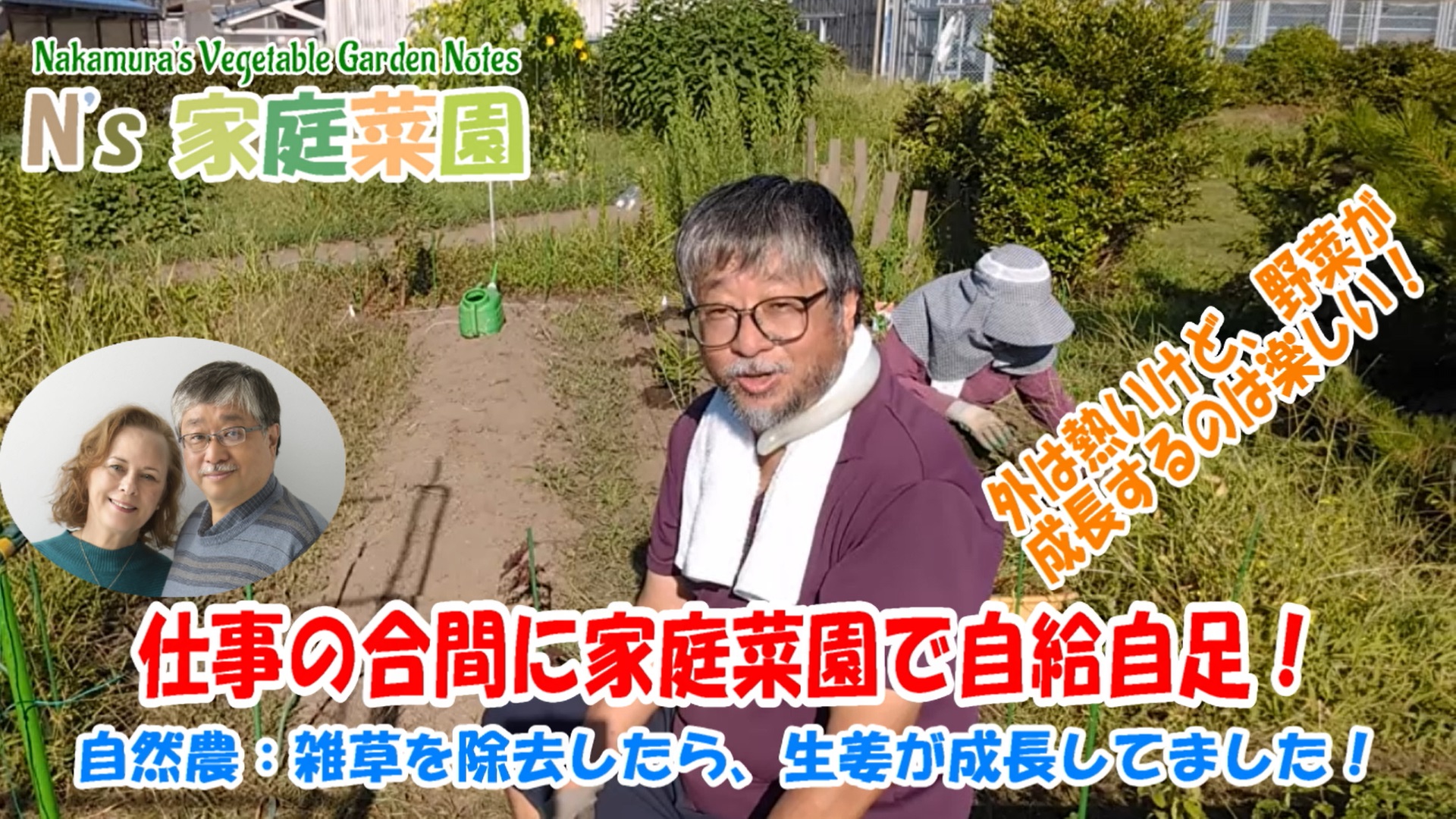 Read more about the article 自然農：雑草を除去したら、生姜が成長してました！