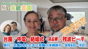 Read more about the article 旅行：台風6号とともに奇跡の沖縄旅行・8月4日～9日