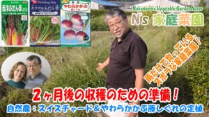 Read more about the article 自然農：スイスチャード＆やわらかかぶ藤しぐれの定植